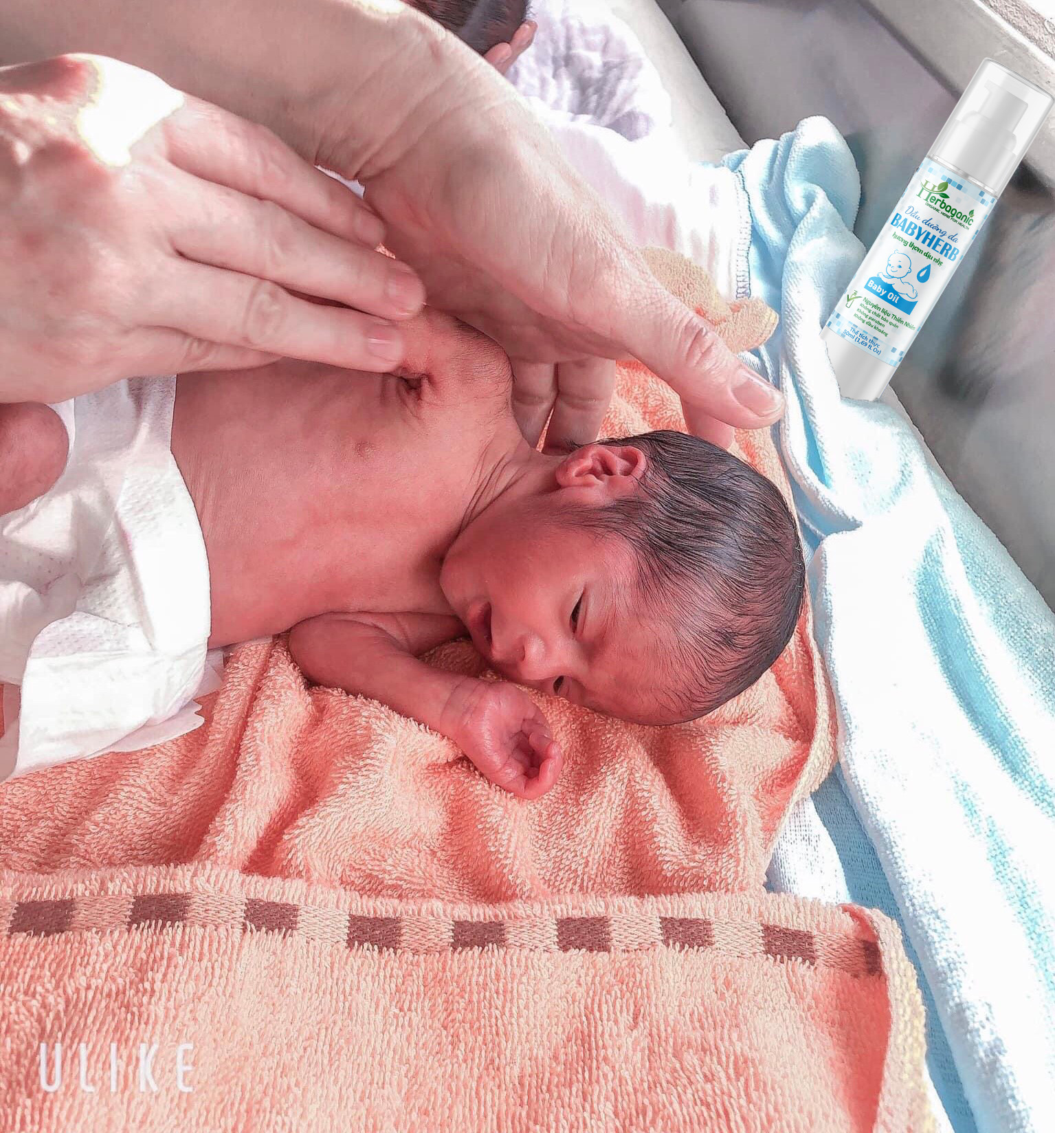 Chăm sóc bé yêu với BabyHerb